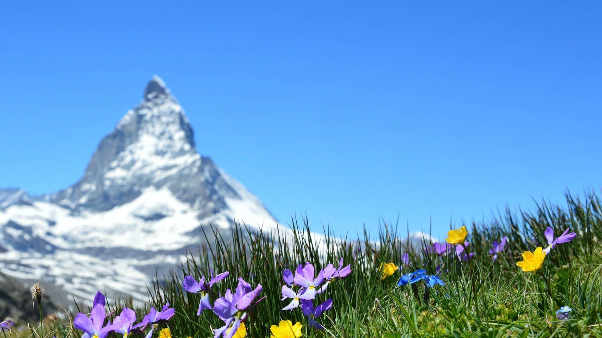 Restaurant München Alpenküche Rostige Kuh